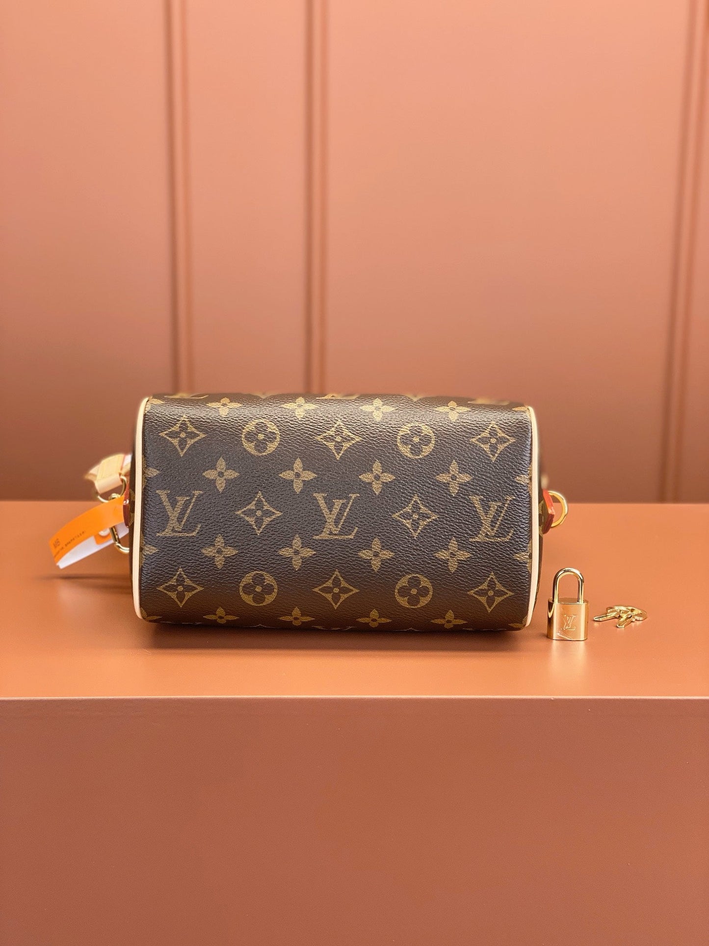 Speedy Bandoulière 20 Monogram Handbags